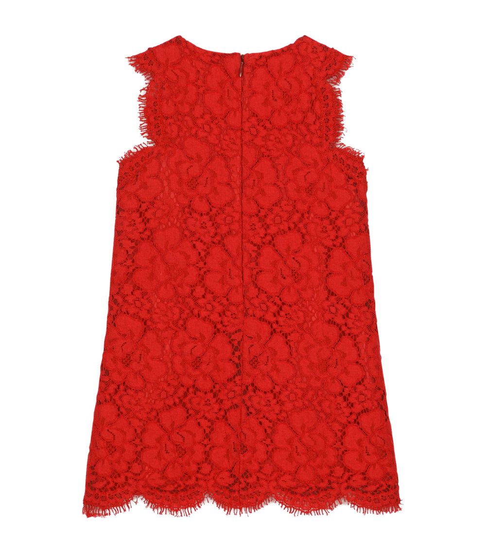 Dolce & Gabbana Dolce & Gabbana Kids Lace Sleeveless Dress (8-14 Years)