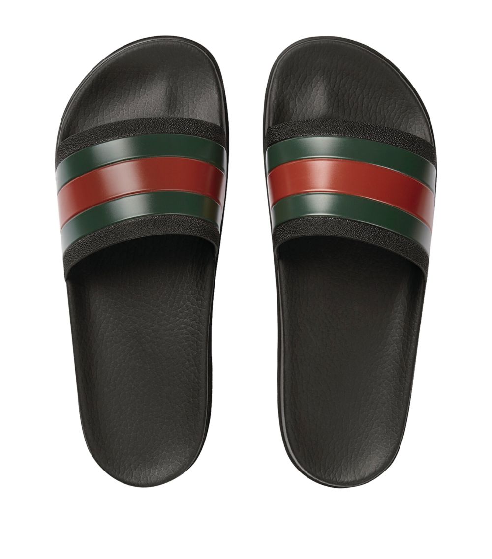 Gucci Gucci Web Stripe Slides