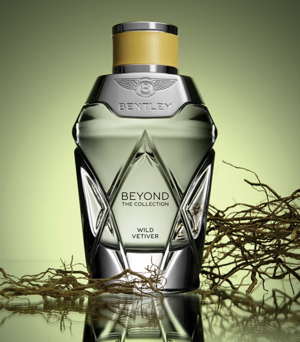 Bentley Bentley Bentley Beyond Wild Vetiver Edp 100Ml 19