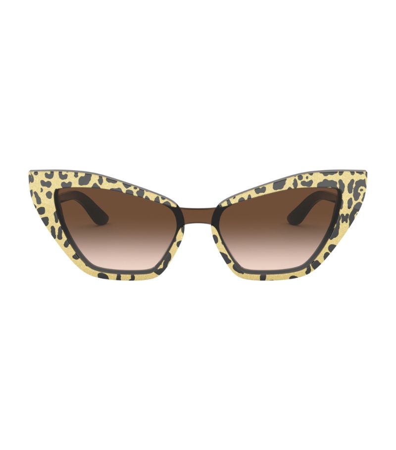 Dolce & Gabbana Dolce & Gabbana Acetate Cat Eye Sunglasses