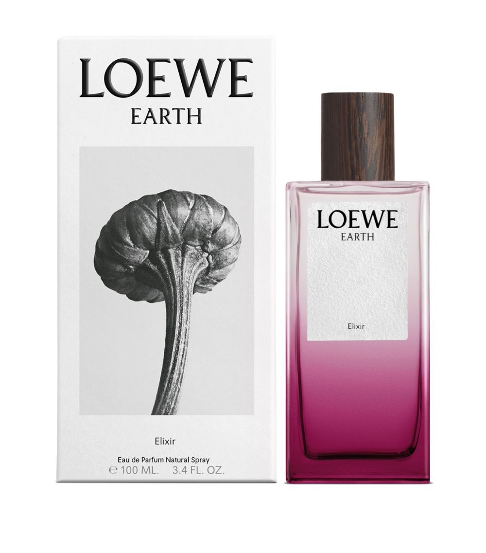 Loewe Loewe Earth Elixir Eau De Parfum (100Ml)