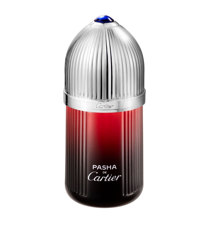 Cartier Cartier Pasha De Cartier Edition Noire Sport Eau De Toilette (100Ml)