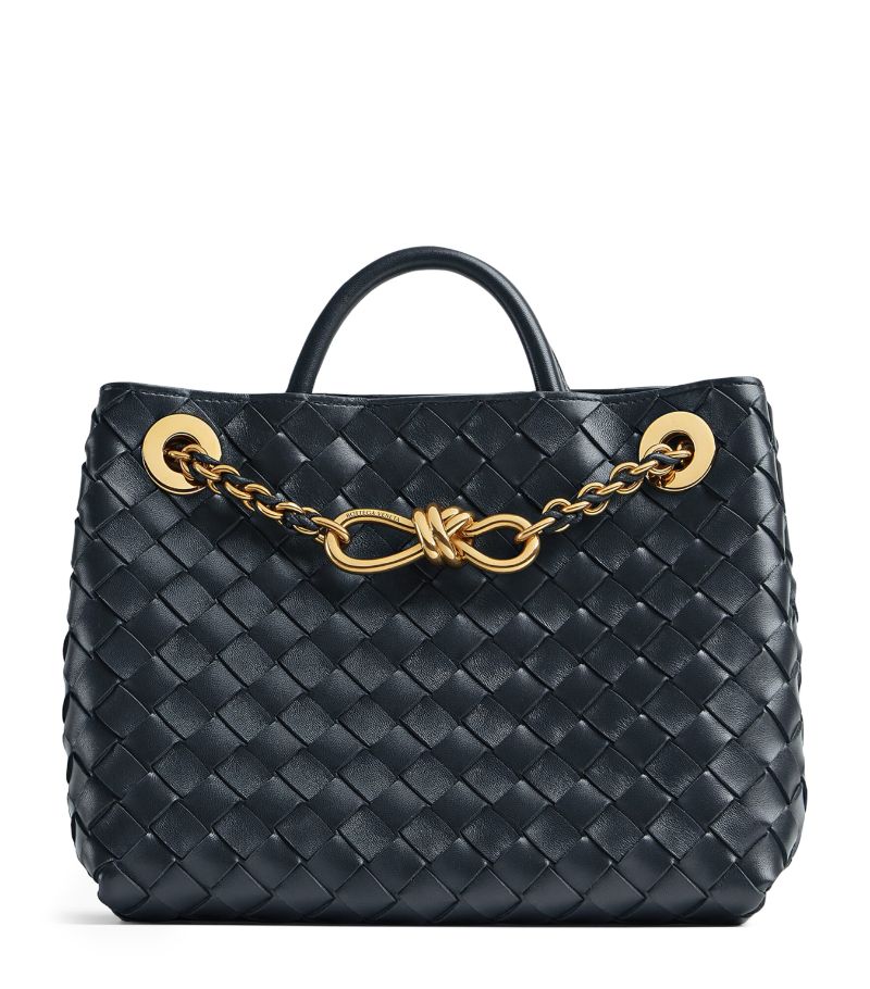 Bottega Veneta Bottega Veneta Small Leather Andiamo Chain Shoulder Bag