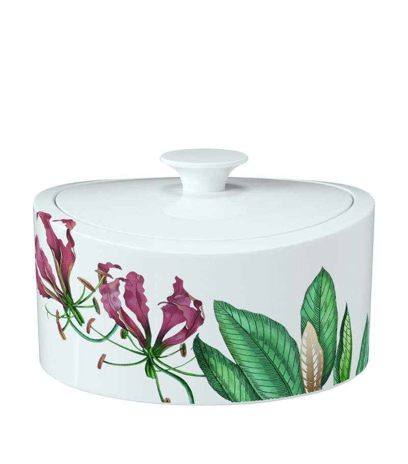 Villeroy & Boch Villeroy & Boch Avarua Gifts Box