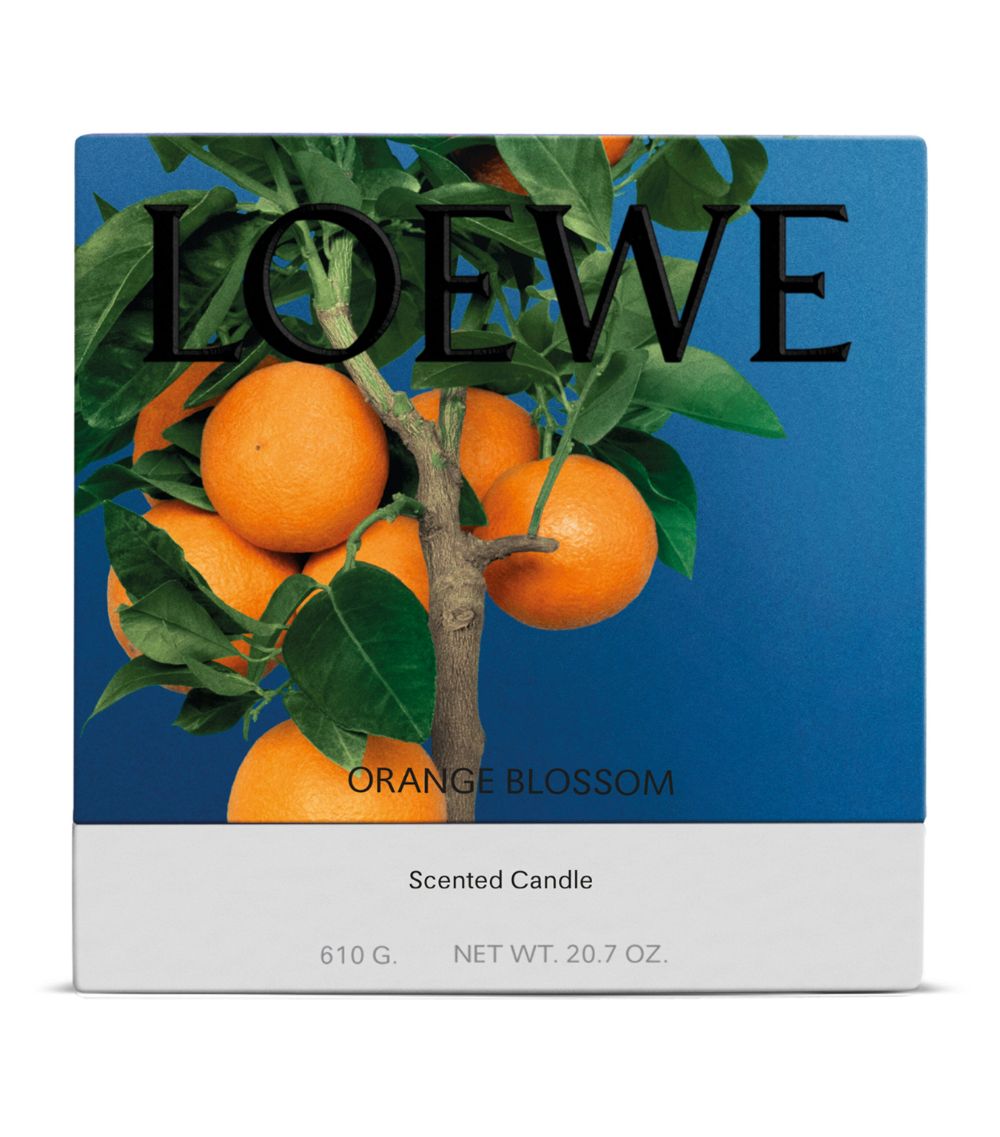 Loewe Loewe Medium Orange Blossom Candle (1.5Kg)