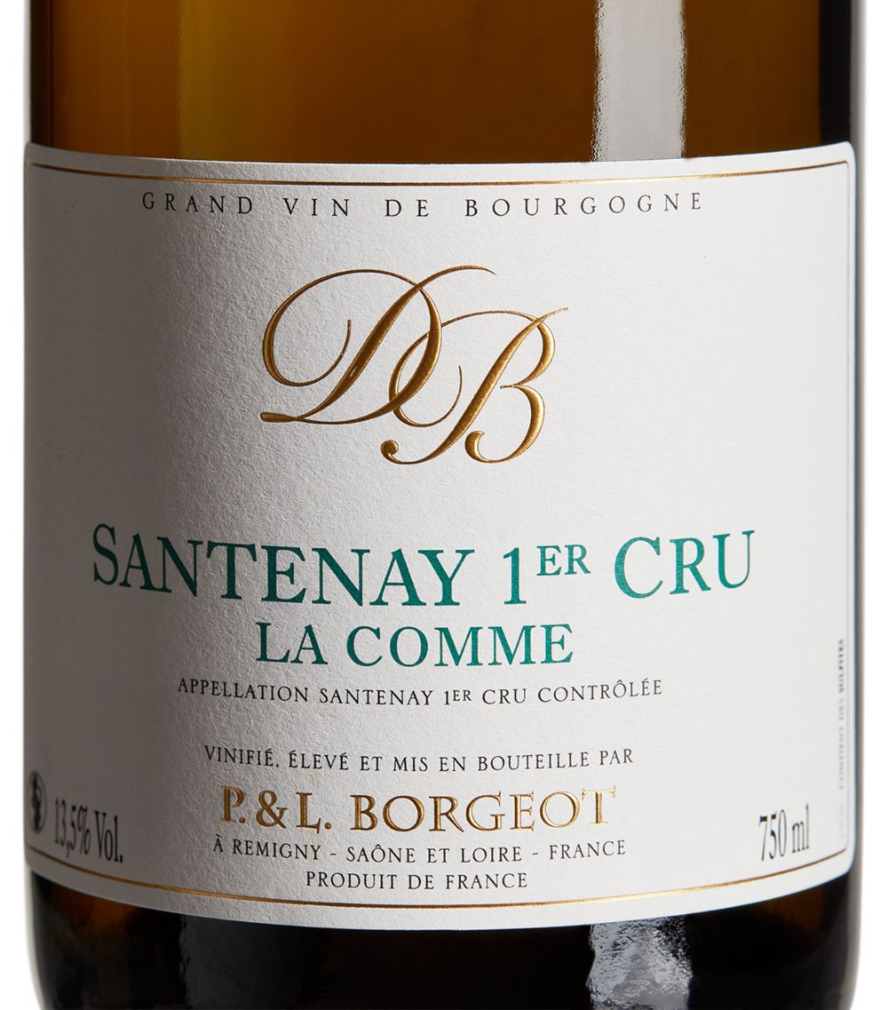 Borgeot Borgeot Santenay Premier Cru La Comme Chardonnay 2021 (75Cl) - Burgundy, France