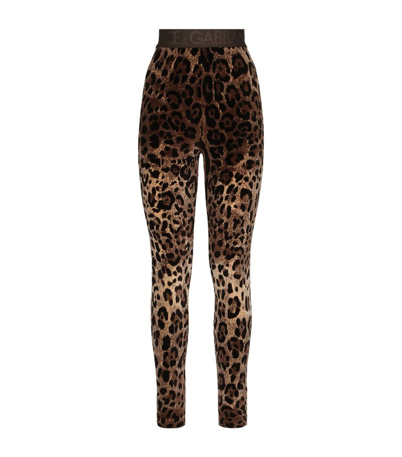 Dolce & Gabbana Dolce & Gabbana Velvet Leopard Print Leggings