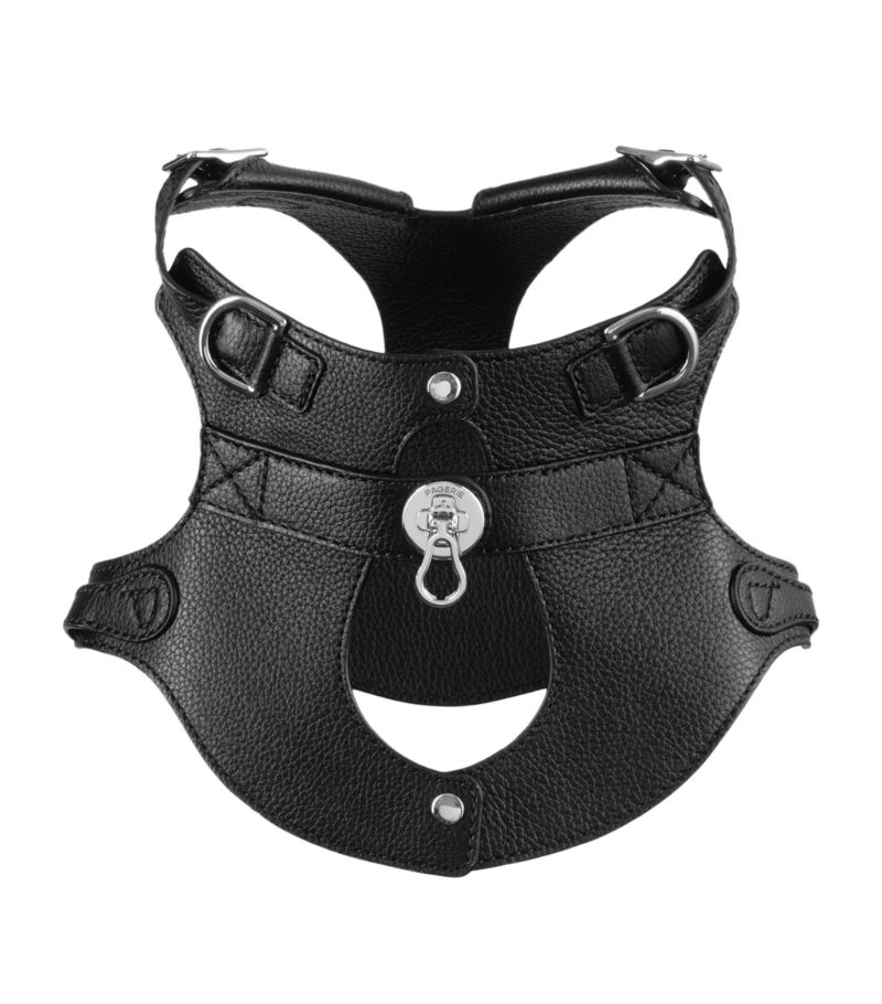 Pagerie Pagerie Colombo Dog Harness (Medium)