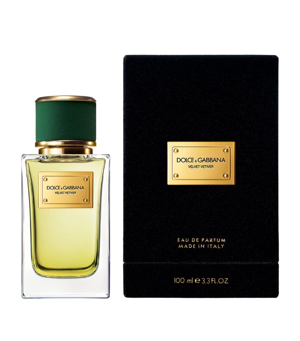 Dolce & Gabbana Dolce & Gabbana Velvet Vetiver Eau De Parfum (100Ml)