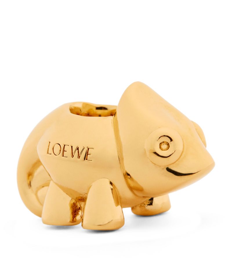 Loewe Loewe X Paula'S Ibiza Chameleon Dice Bag Charm