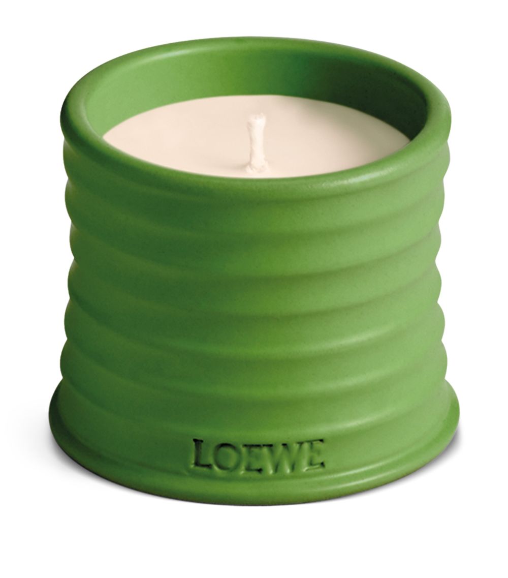Loewe LOEWE Small Luscious Pea Candle (170g)