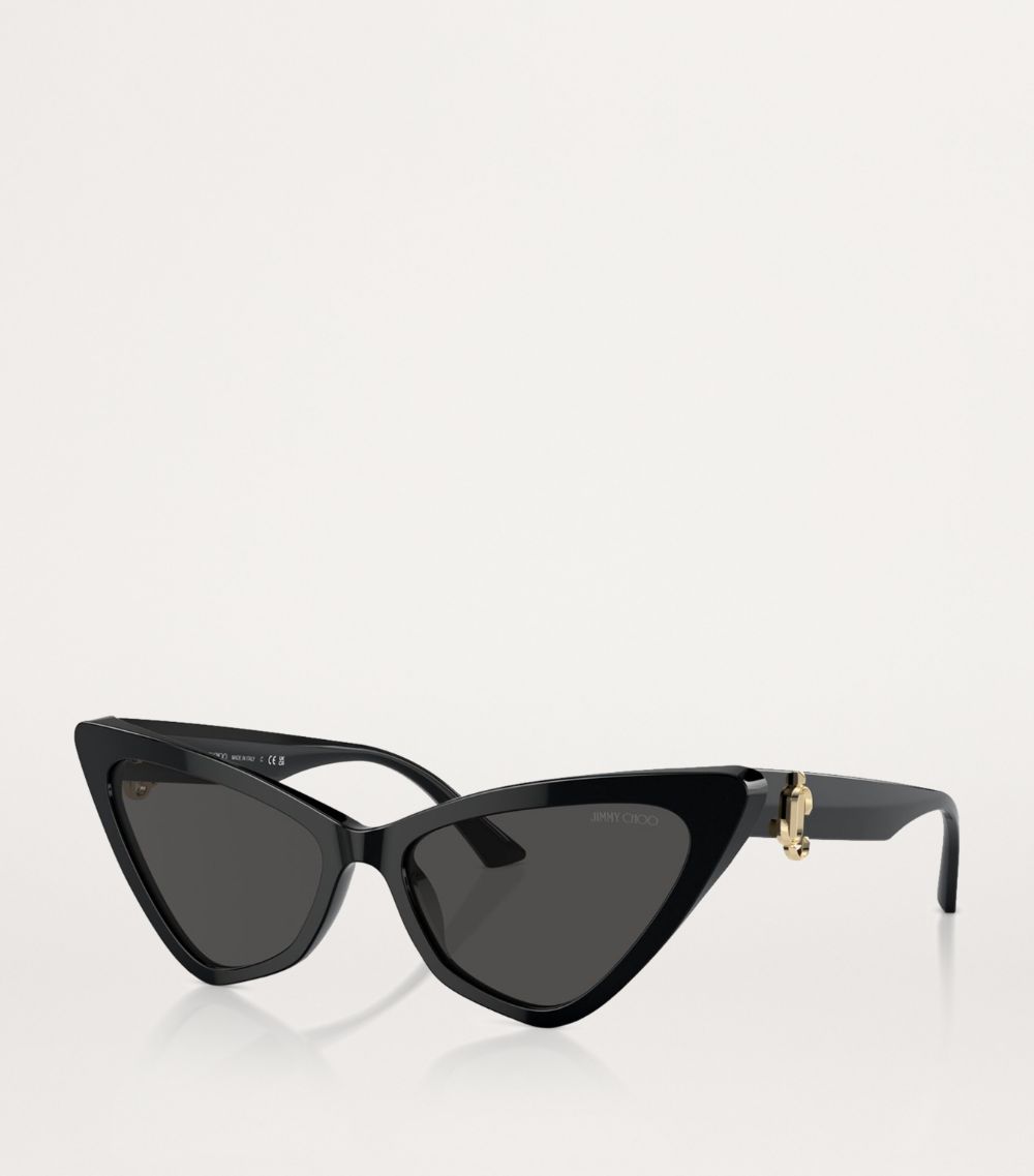 Jimmy Choo Jimmy Choo Acetate Jc5008 Sunglasses