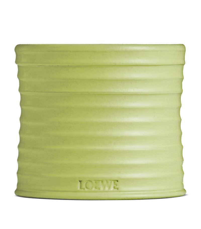 Loewe Loewe Large Cucumber Candle (2.12Kg)