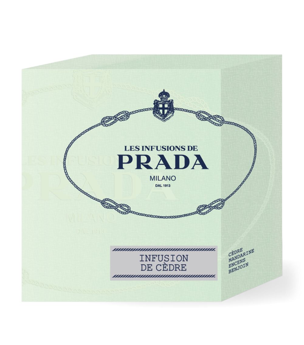 Prada Beauty Prada Beauty Infusion De Cèdre Candle (165G)