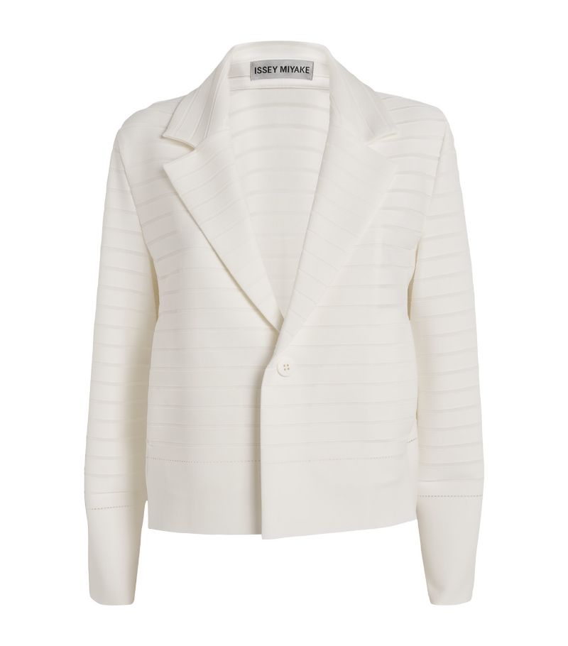 Issey Miyake Issey Miyake Knitted Striped Blazer