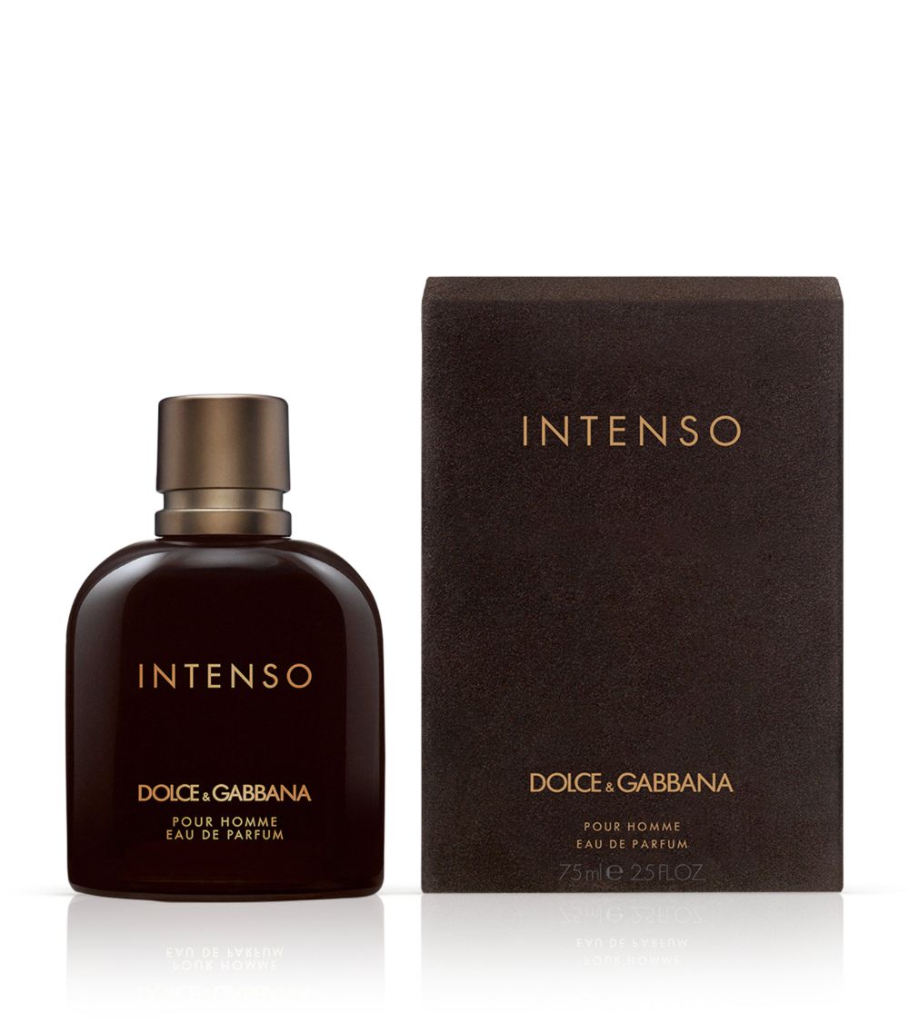 Dolce & Gabbana Dolce & Gabbana Pour Homme Intenso Eau De Parfum (75Ml)