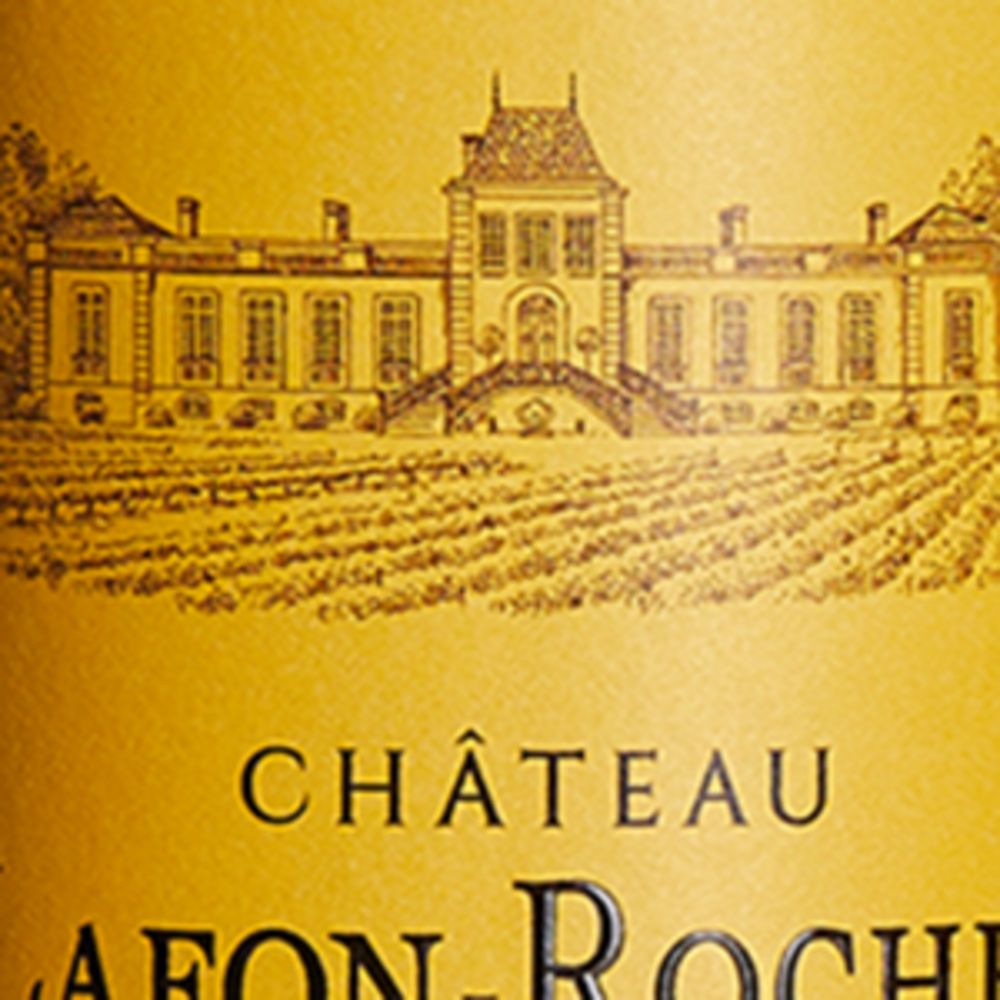 Château Lafon-Rochet Château Lafon-Rochet Château Lafite-Rochet 2016 (75Cl) - Bordeaux, France