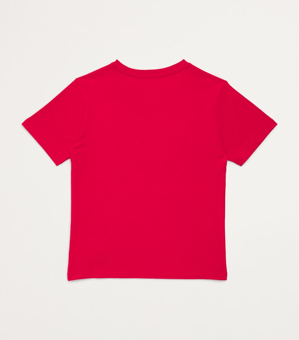 Polo Ralph Lauren Polo Ralph Lauren Kids Cotton Graphic T-Shirt (7-14 Years)