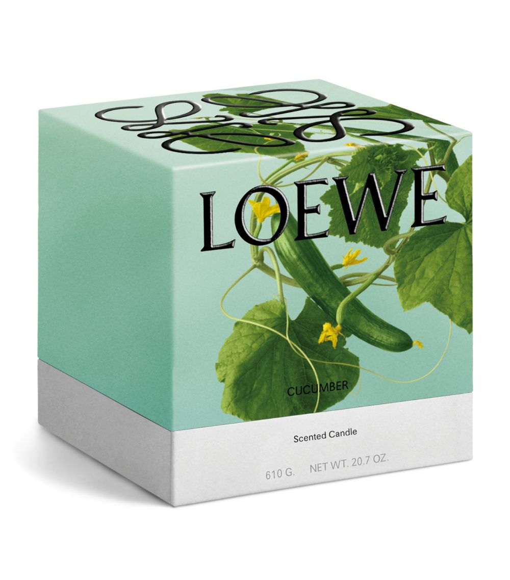 Loewe Loewe Medium Cucumber Candle (610G)