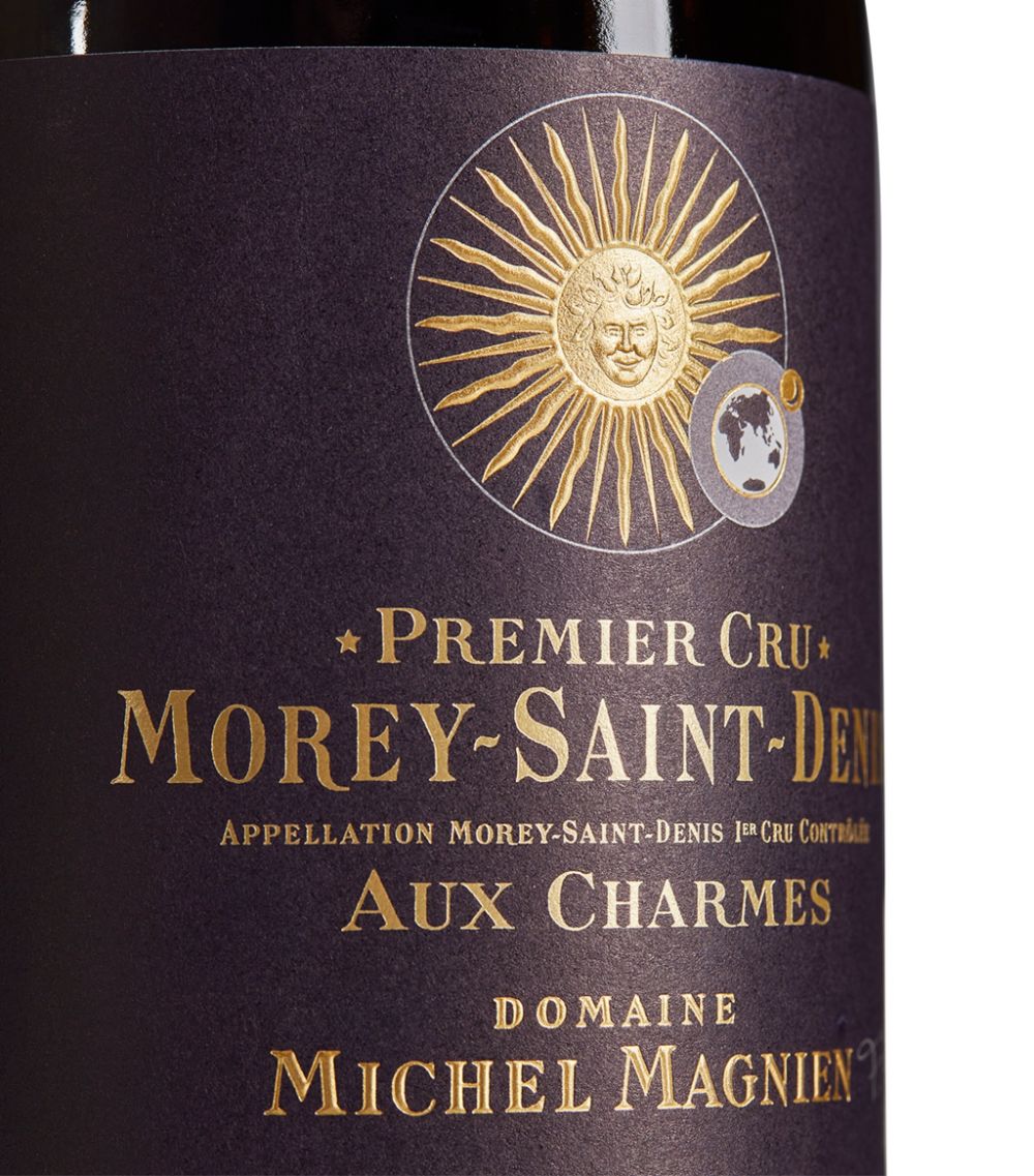 Domaine Michel Magnien Domaine Michel Magnien Aux Charmes Pinot Noir 2017 (75Cl) - Burgundy, France