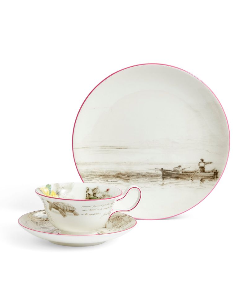 Wedgwood Wedgwood Set Of 3 Voyage Of The Beagle Galapagos Islands Plates, Teacups And Saucers