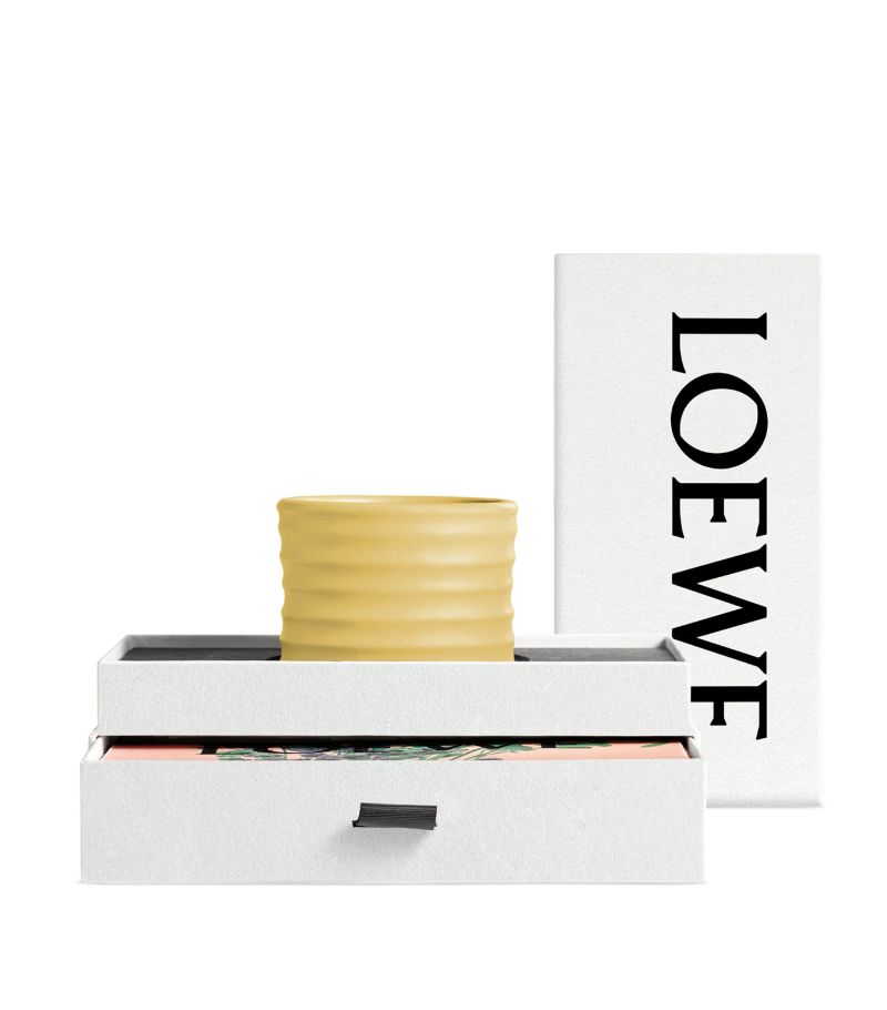 Loewe LOEWE Honeysuckle Candle and Oregano Solid Soap Gift Set (Small)