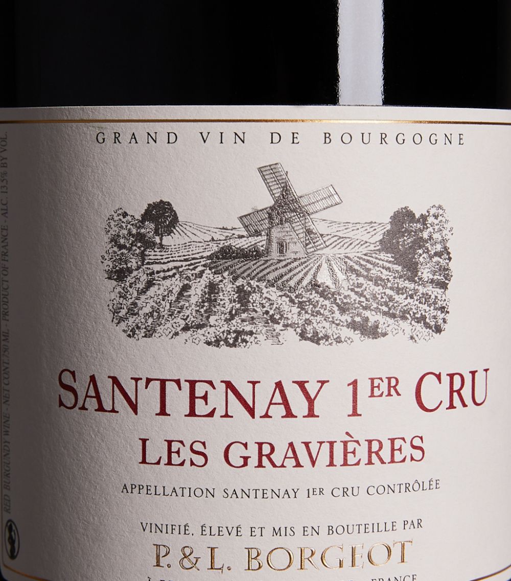 Borgeot Borgeot Santenay Premier Cru Les Gravières Pinot Noir 2018 (75Cl) - Burgundy, France