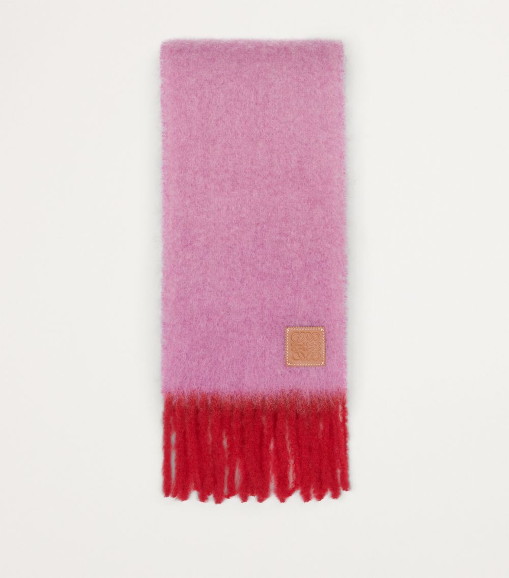 Loewe Loewe Mohair-Wool Scarf