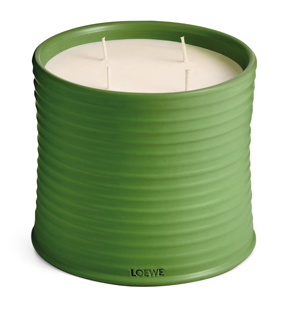 Loewe LOEWE Large Luscious Pea Candle (2.12kg)