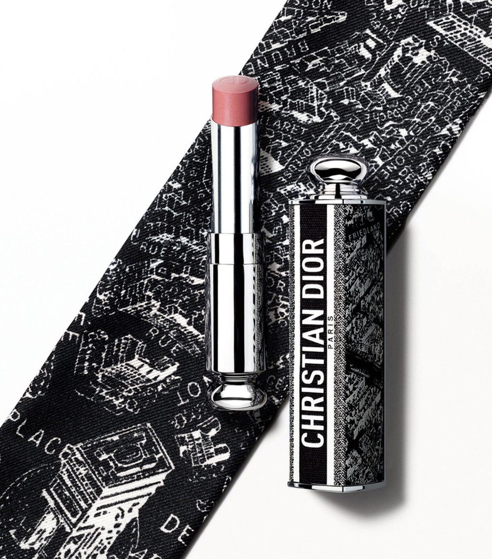 Dior Dior Plan De Paris Collection Dior Addict Lipstick Case