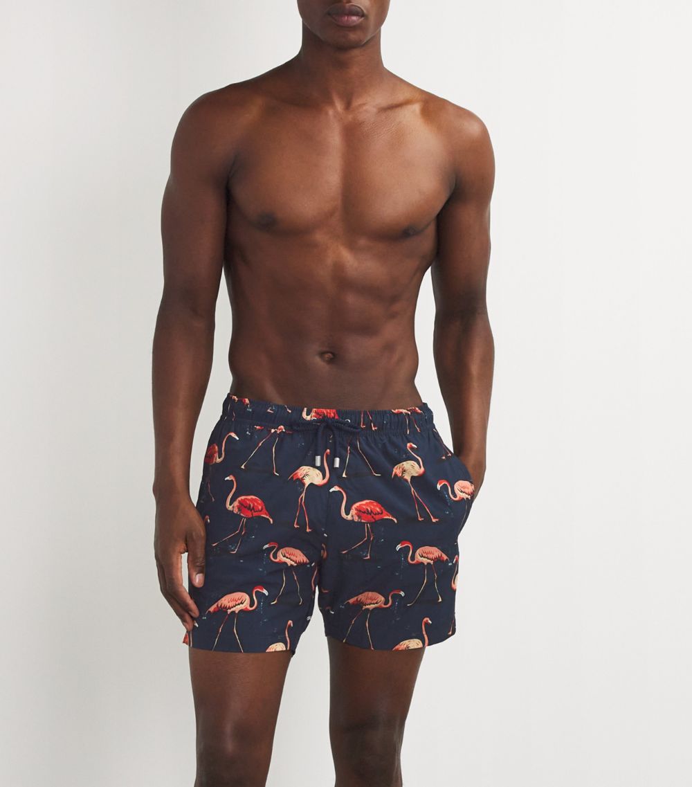  Bluemint Flamingo Arthus Swim Shorts