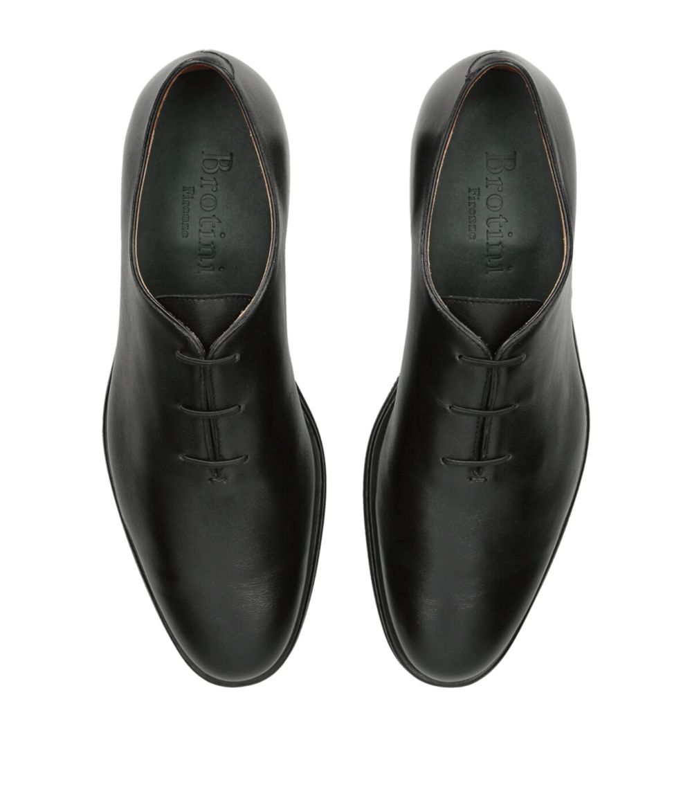 Brotini Brotini Leather Wholecut Oxford Shoes