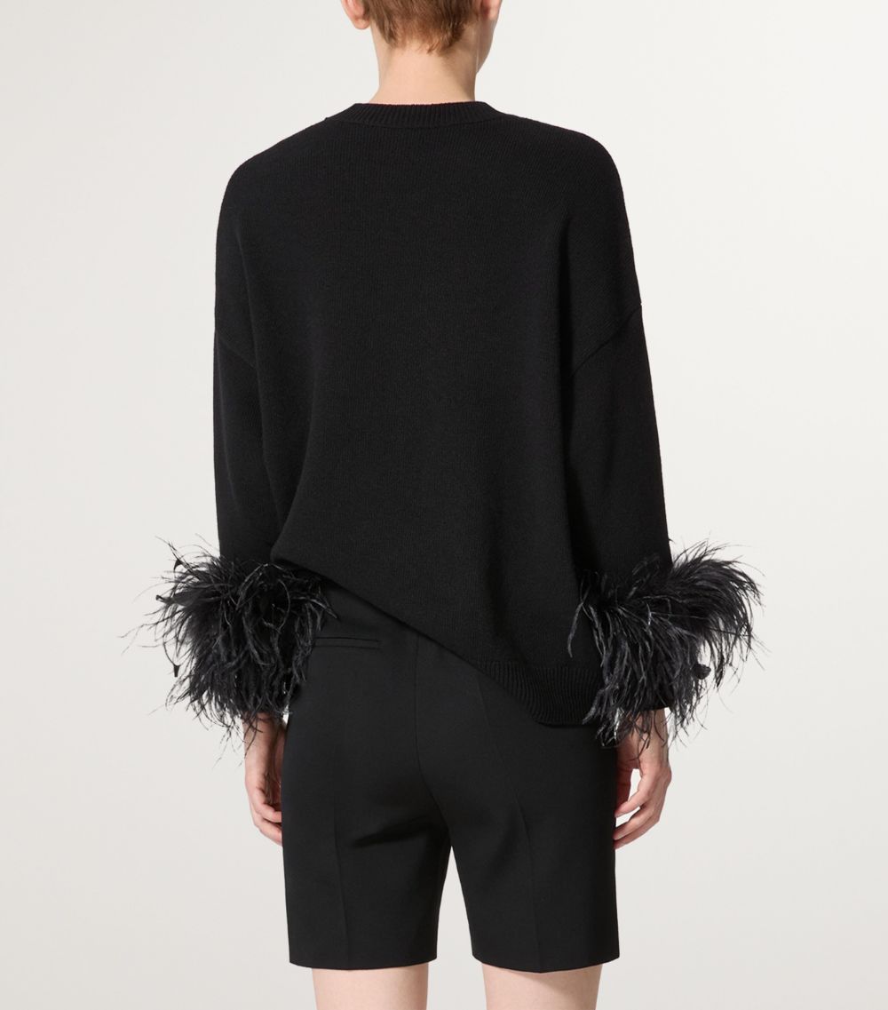 VALENTINO GARAVANI Valentino Garavani Virgin Wool Feather-Trim Sweater