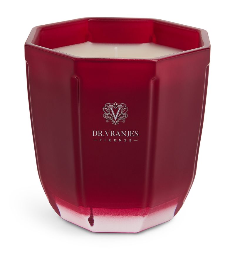 Dr. Vranjes Firenze Dr. Vranjes Firenze Rosso Nobile Candle (200g)