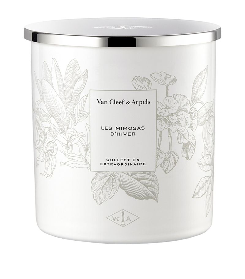 Van Cleef & Arpels Van Cleef & Arpels Collection Extraordinaire Les Mimosas D'Hiver Candle (240G)