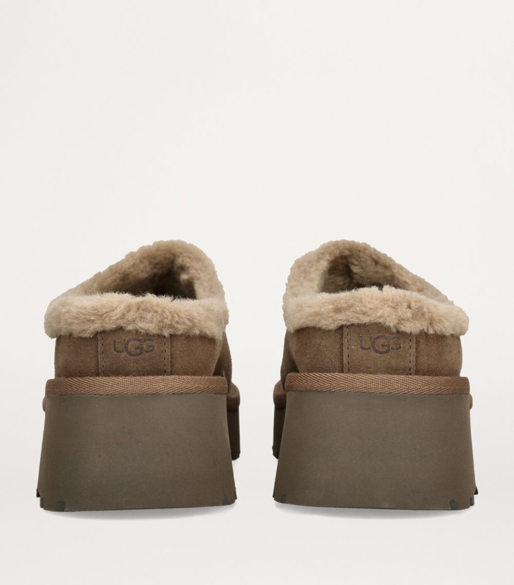 Ugg Ugg Suede Cosy New Heights Mules 60