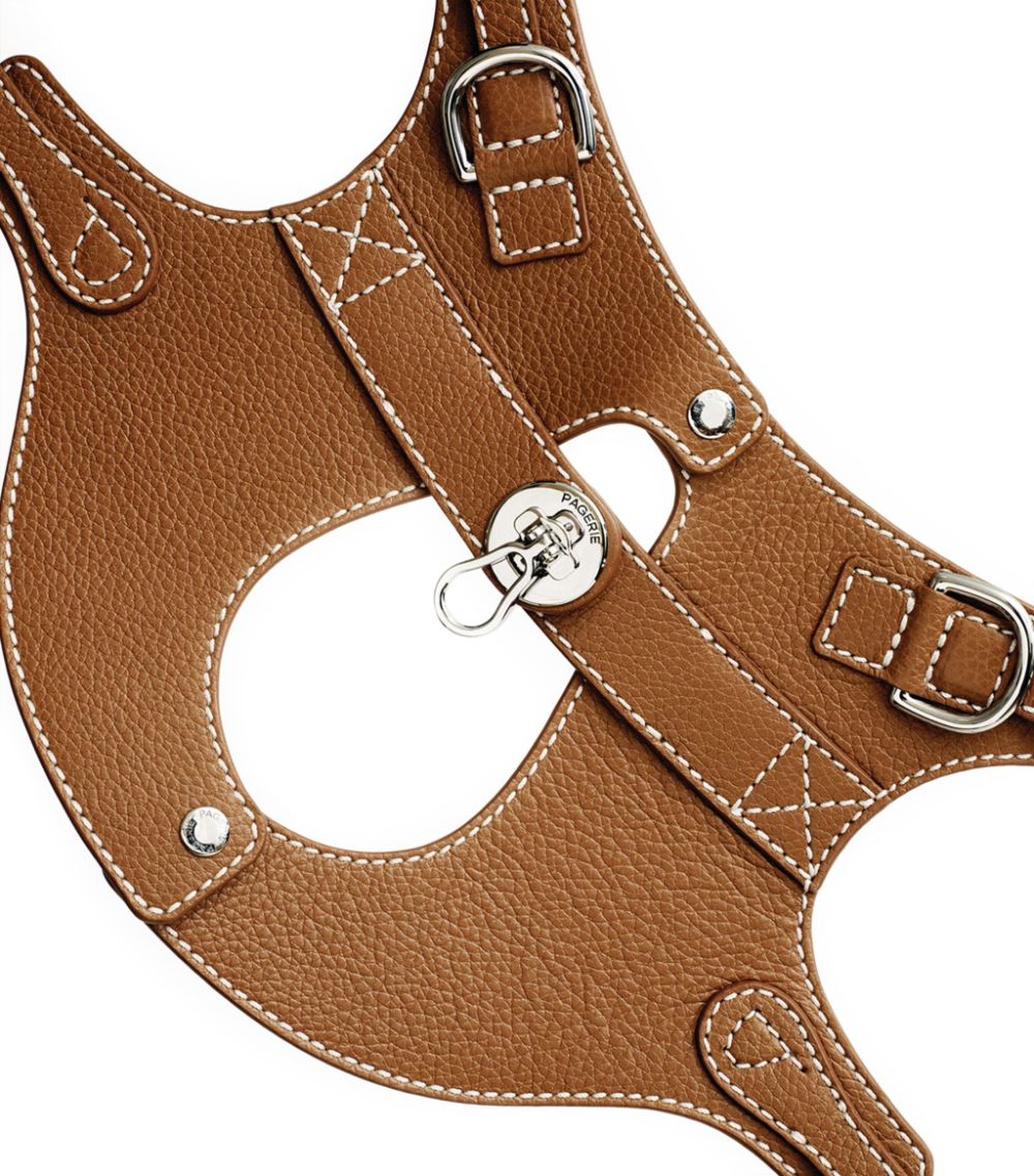 Pagerie Pagerie Colombo Dog Harness (Large)