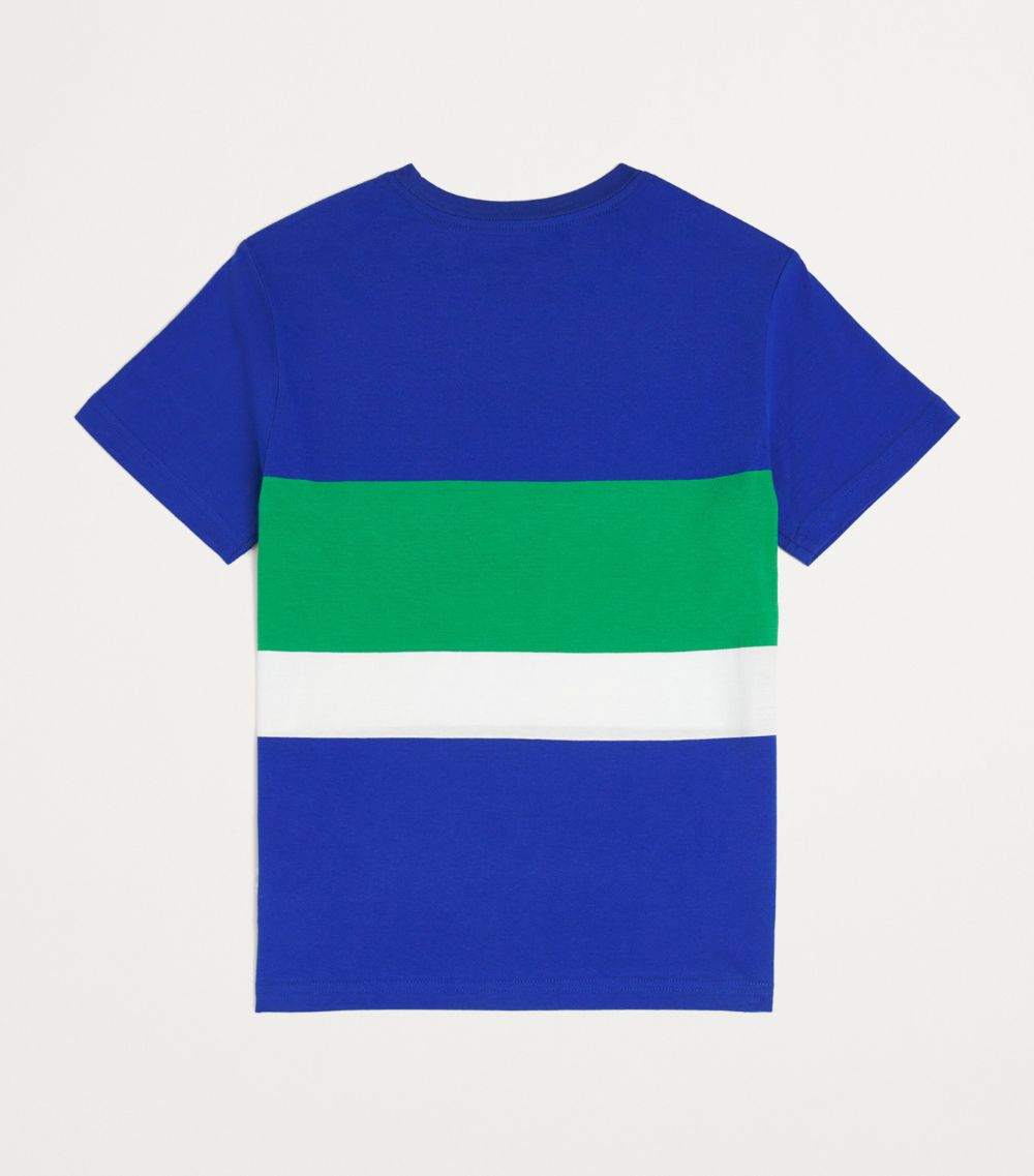 Polo Ralph Lauren Polo Ralph Lauren Kids Cotton Colour-Block T-Shirt (6-14 Years)