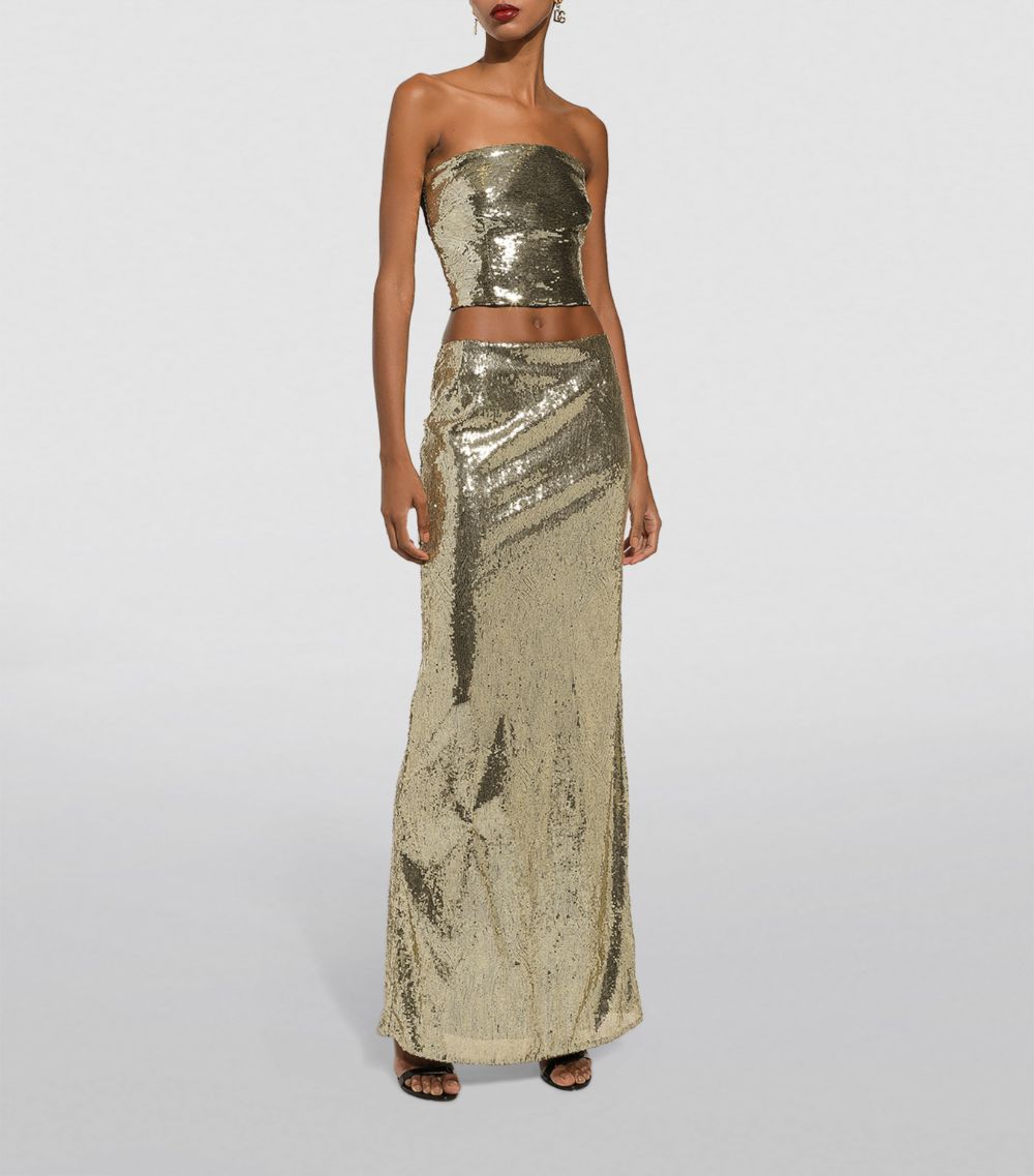 Dolce & Gabbana Dolce & Gabbana Sequinned Maxi Skirt