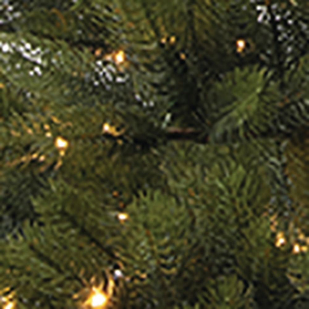 Harrods Harrods Winnipeg Pine Tree (8ft)