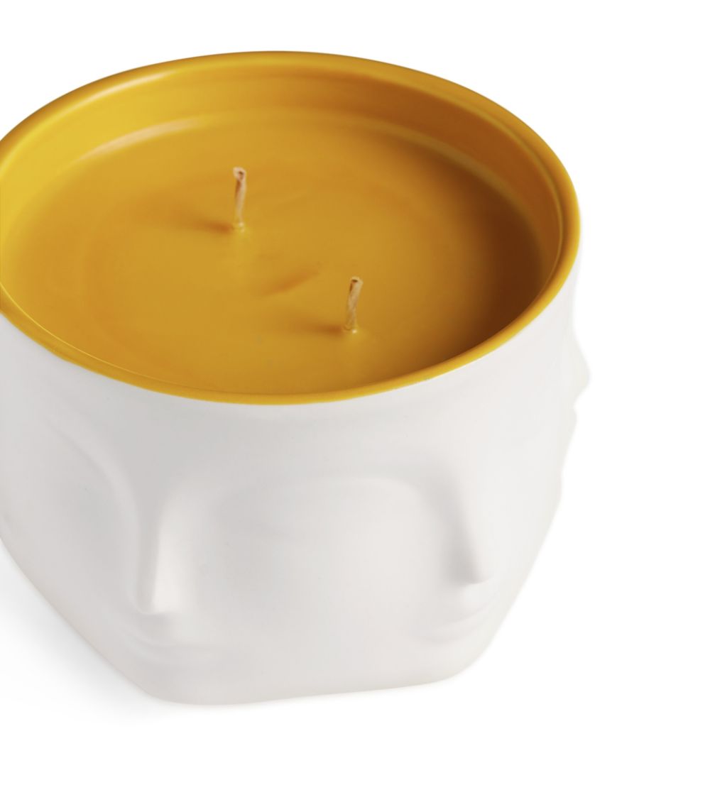 Jonathan Adler Jonathan Adler Muse Pamplemoose Candle (368g)