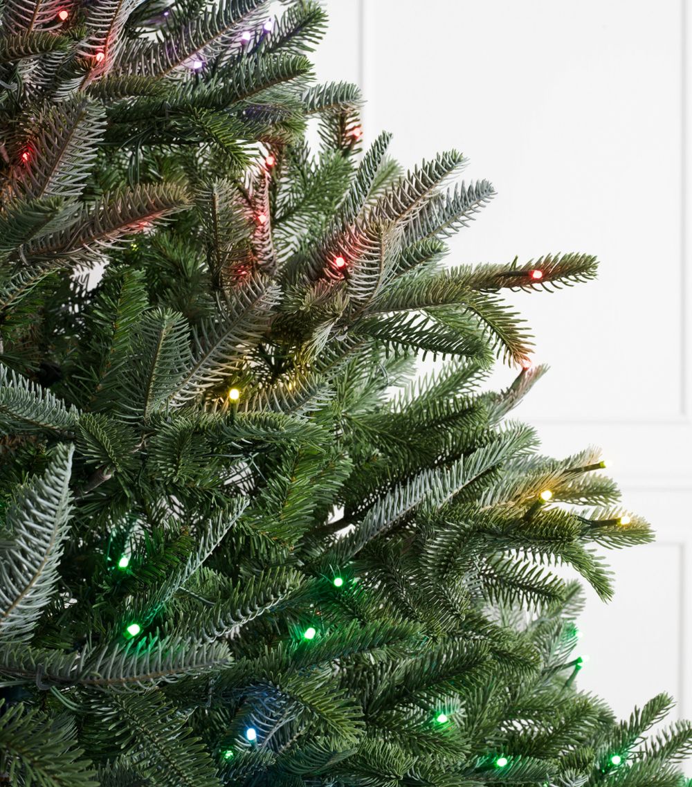 Balsam Hill Balsam Hill Nordmann Fir Twinkly Christmas Tree (8Ft)