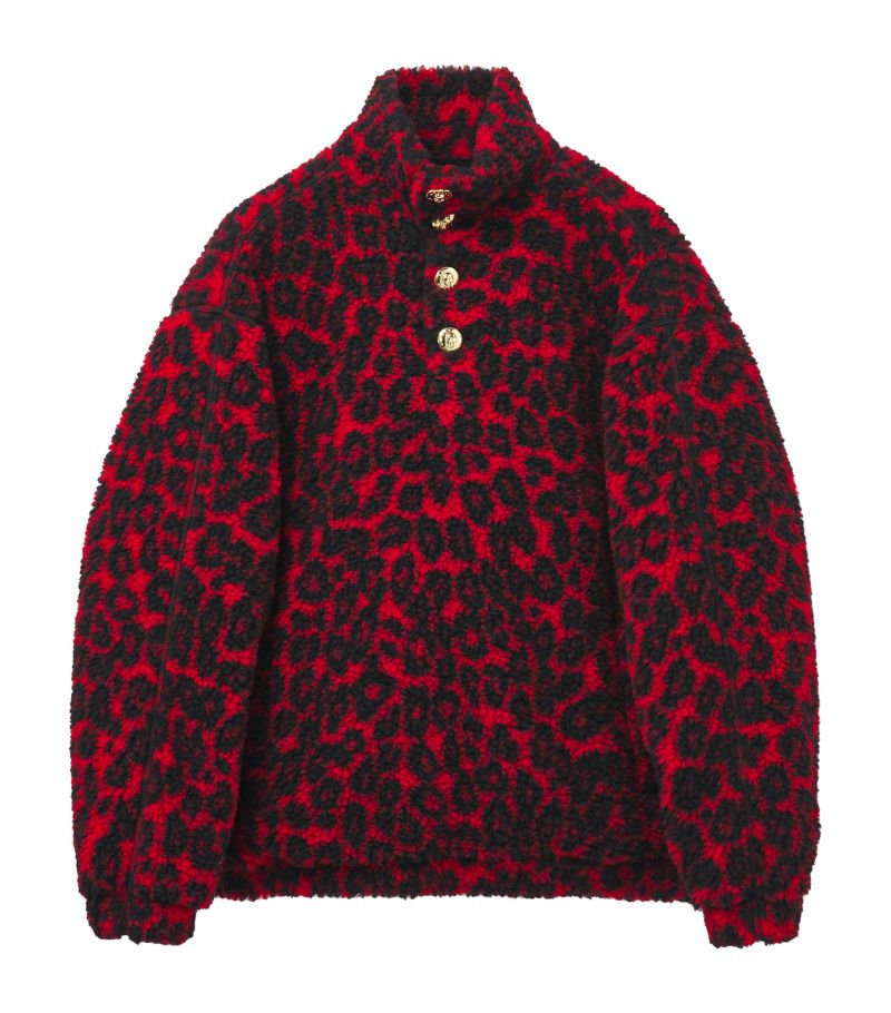 Alexander McQueen Alexander Mcqueen Wool-Blend Leopard Sweater