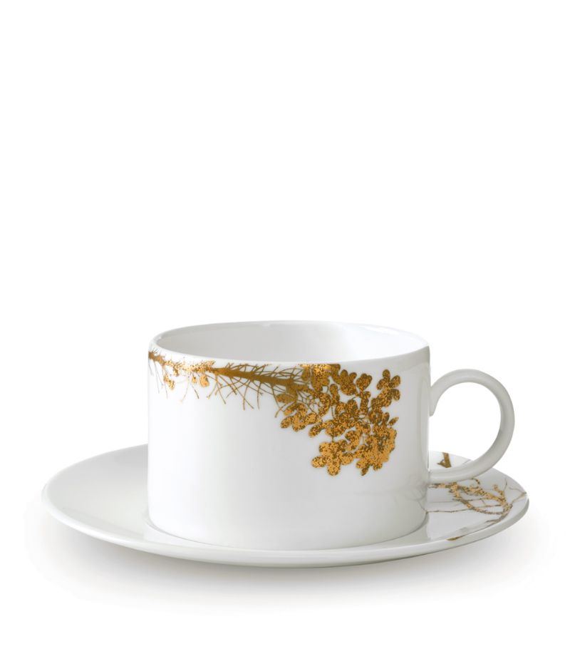 Wedgwood Wedgwood Jardin Teacup And Saucer