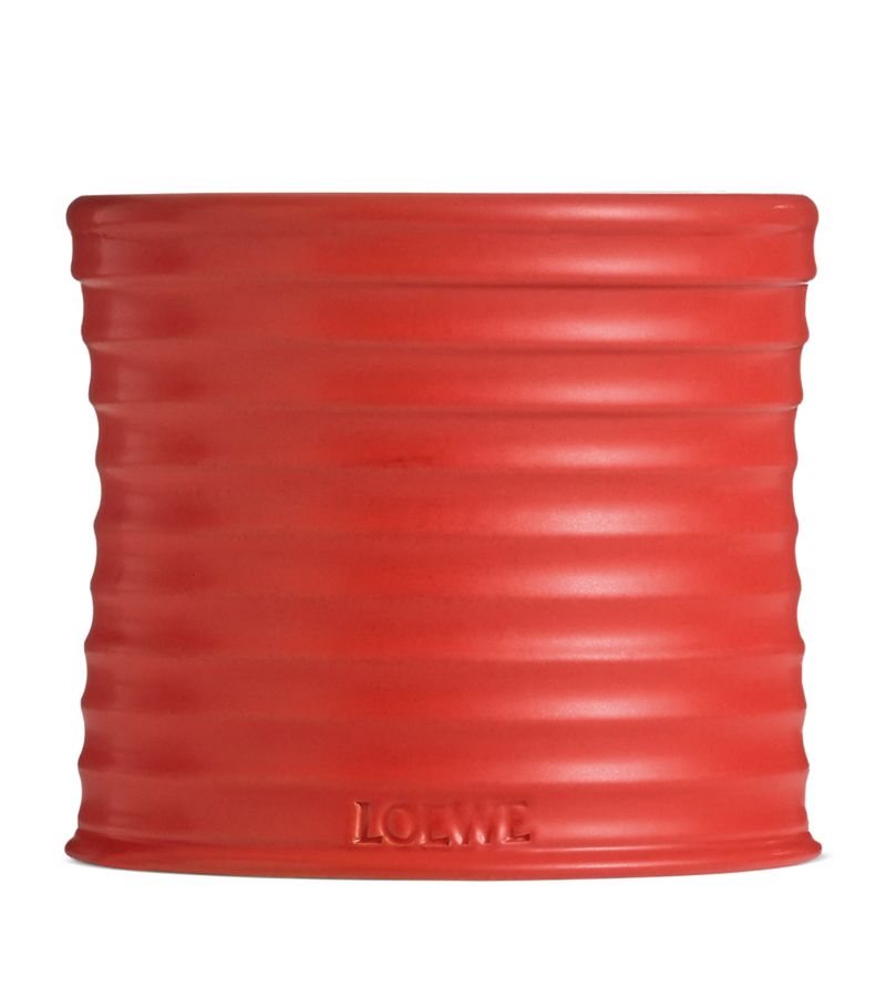 Loewe Loewe Medium Tomato Leaves Candle (610G)