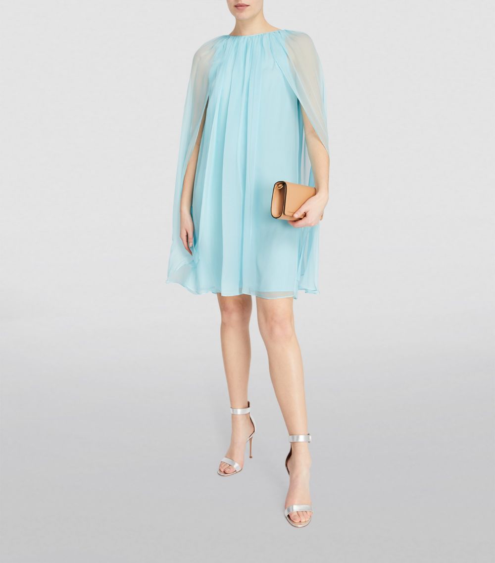 Max Mara Max Mara Silk Chiffon Mini Dress