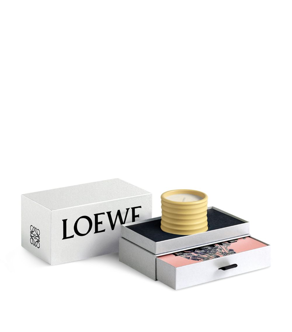 Loewe LOEWE Honeysuckle Candle and Oregano Solid Soap Gift Set (Small)