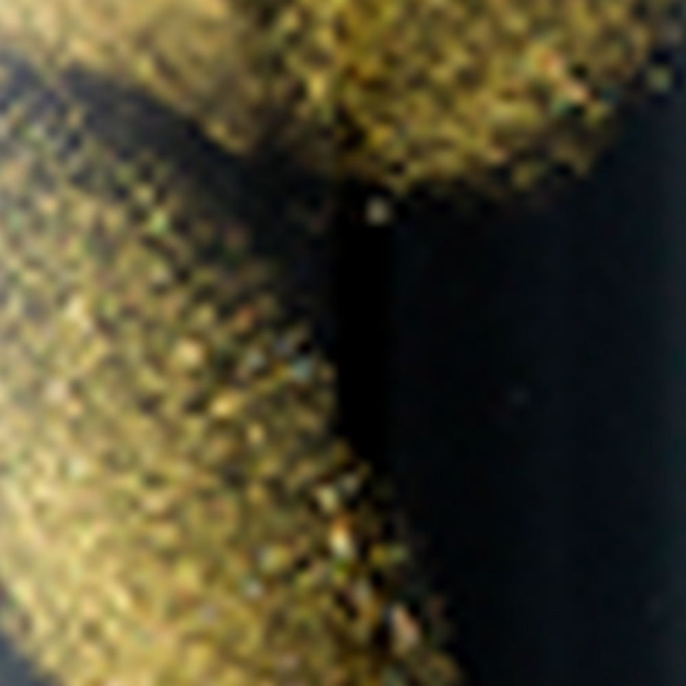 Tibaldi Tibaldi Gold-Trim Bononia Fountain Pen