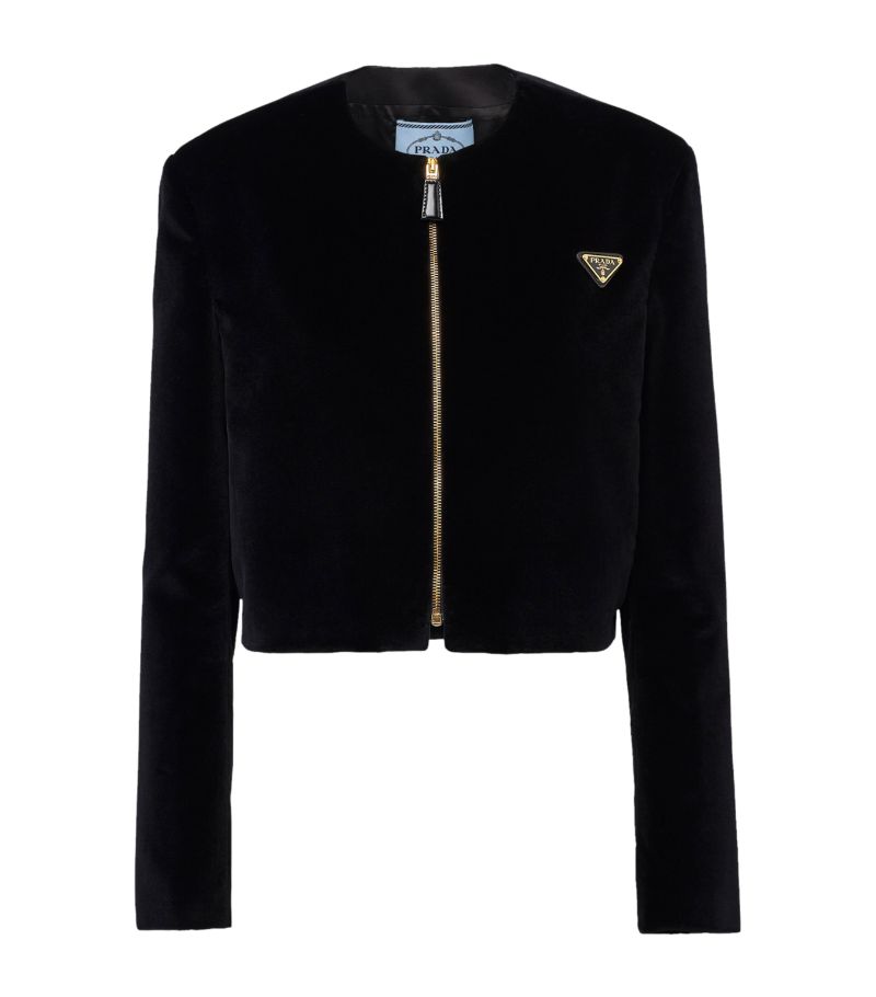 Prada Prada Cotton Velvet Bomber Jacket