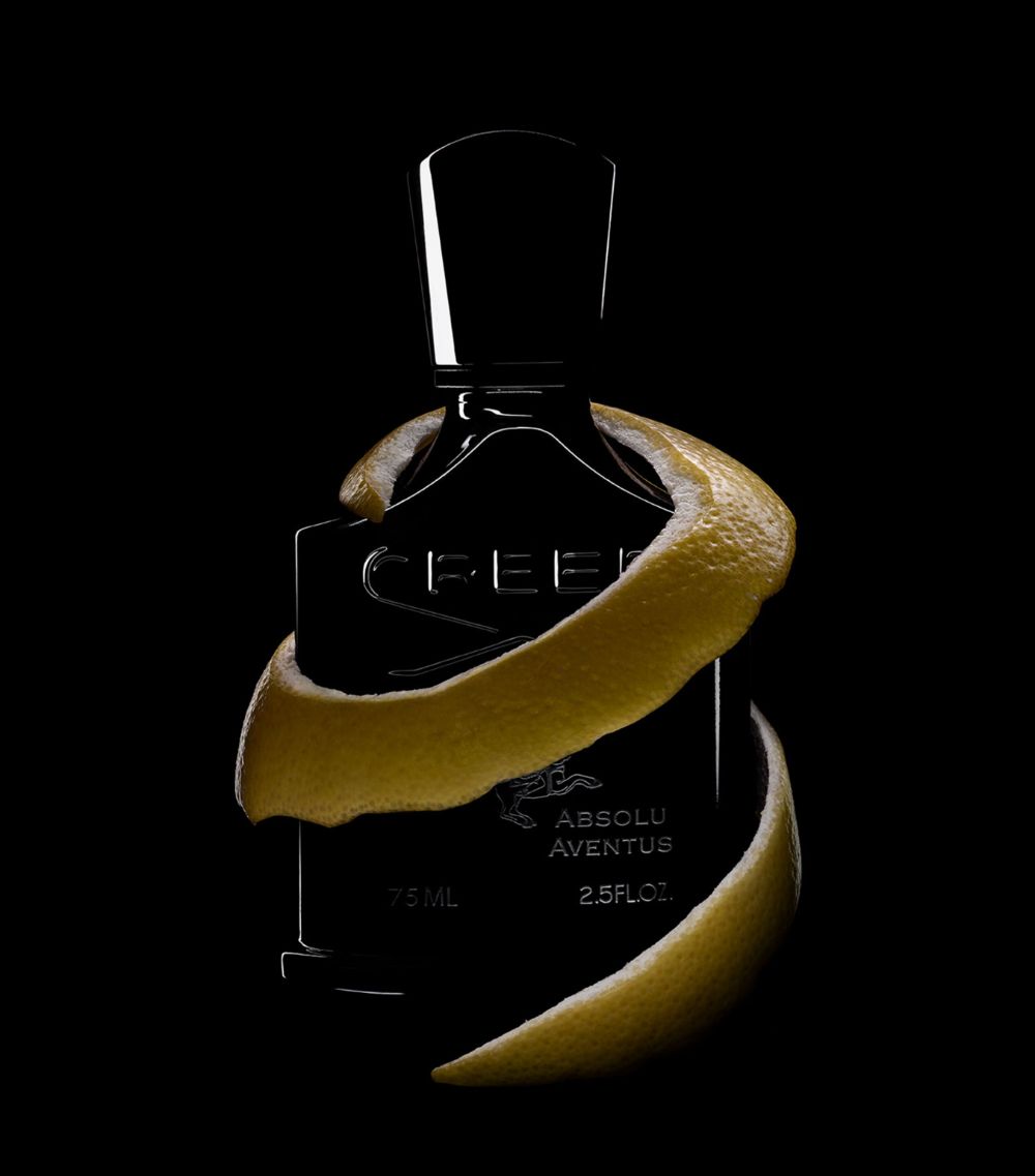 Creed Creed Absolu Aventus Eau De Parfum (75Ml)